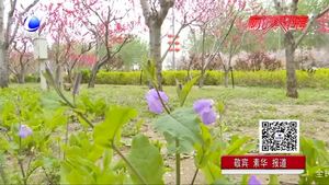 “廊坊：京津走廊上的一座花園城市” 我市打造多處景觀建筑 園林建設(shè)受市民點(diǎn)贊