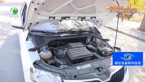 柳絮飄飛季 如何減少柳絮對(duì)汽車的影響