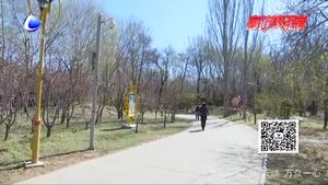 賞春不傷春 公園的野菜不要采