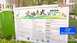 創(chuàng)城，我們一起：專項整治在行動 引導(dǎo)市民依法文明養(yǎng)犬