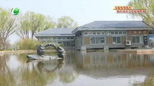 第51個世界地球日：讓我們用實(shí)際行動告白地球