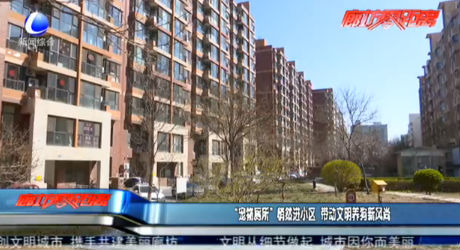 “寵物廁所”悄然進(jìn)小區(qū) 帶動(dòng)文明養(yǎng)狗新風(fēng)尚