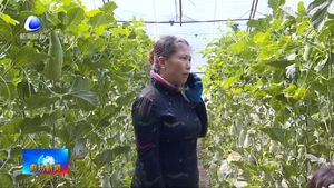 邢磊：做良心糕點(diǎn) 講誠(chéng)信經(jīng)營(yíng)