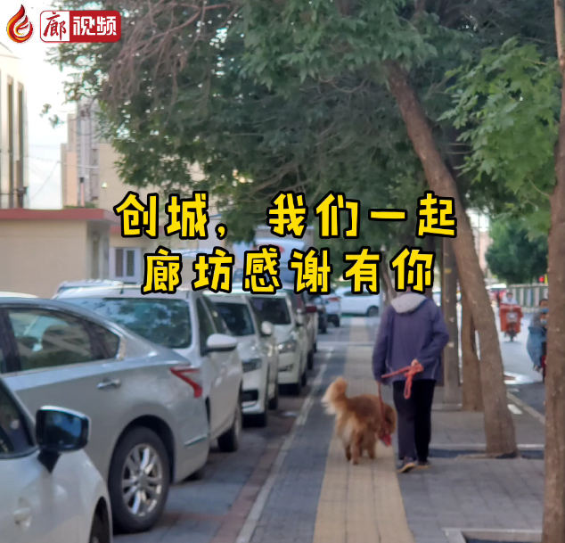廊視頻 | “創(chuàng)城，我們一起”廊坊感謝有你