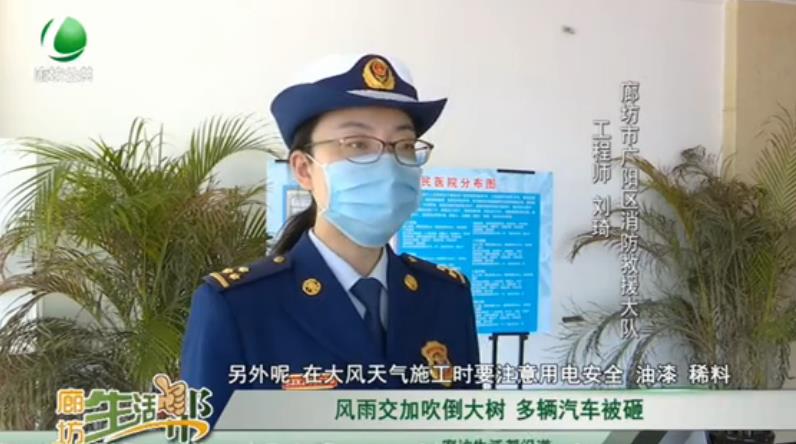 風雨交加吹倒大樹 多輛汽車被砸