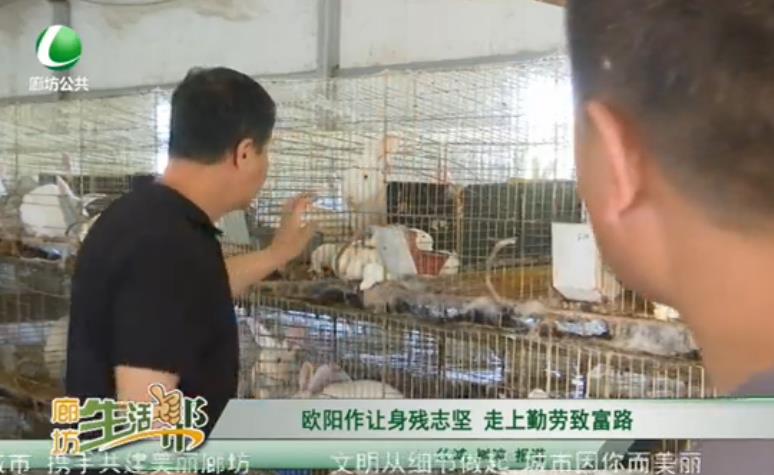 歐陽作讓身殘志堅 走上勤勞致富路