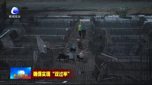 京津冀管國際商貿(mào)城：挑燈夜戰(zhàn)推動(dòng)建設(shè)“加速度”