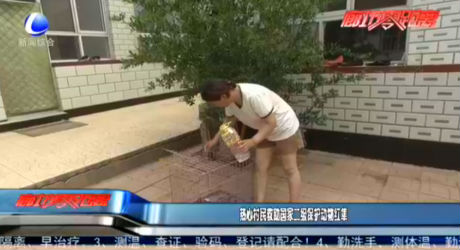 熱心村民救助國家二級(jí)保護(hù)動(dòng)物紅隼