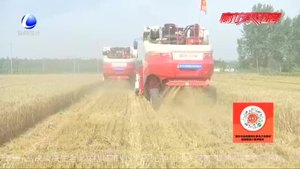 小麥“開鐮” 全程機(jī)械化作業(yè)助力夏收夏種