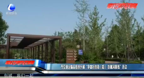 市交通運(yùn)輸局組織開展“爭做好的哥（姐）扮靚風(fēng)景線”活動