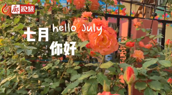 廊視頻 | 六月再見，七月你好