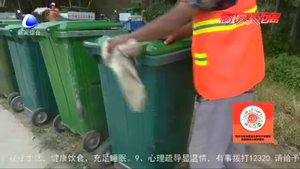 加強農(nóng)村環(huán)境衛(wèi)生整治 讓“美麗鄉(xiāng)村“靚起來