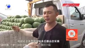 【走向我們的小康生活·幸福來敲門】固安縣北趙二村特色種植助農(nóng)增收 西瓜藤上結(jié)出“致富果”