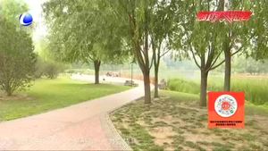 婚姻之中的AA制 您怎么看？