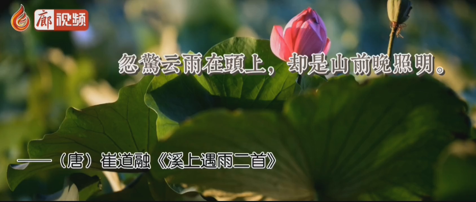 廊視頻 | 大暑來了你知道那些與大暑有關(guān)的古詩(shī)詞嗎