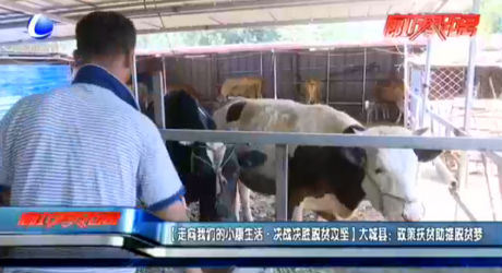 【走向我們的小康生活·決戰(zhàn)決勝脫貧攻堅】大城縣：政策扶貧助推脫貧夢