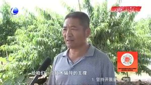 【走向我們的小康生活·幸福來敲門】固安賈各莊村種植專業(yè)合作社助力村民奔小康