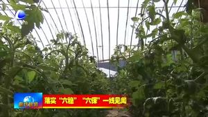 興蘆集團：廣開思路促創(chuàng)新 升級改造固發(fā)展