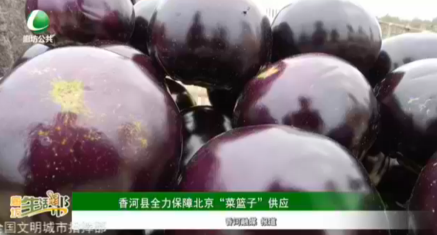 香河縣全力保障北京“菜籃子”供應(yīng)
