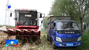 安次區(qū)：土地托管助力糧食增產(chǎn)農(nóng)民增收