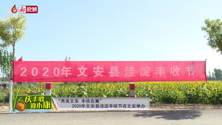  廊視頻 | “慶豐收迎小康”——“秀美文安，豐收在冀”2020年文安縣洼淀豐