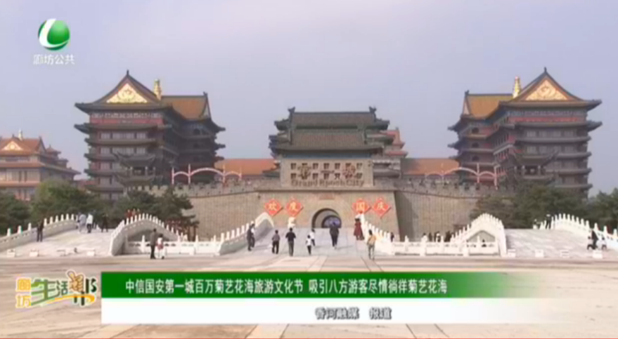 中信國(guó)安第一城百萬(wàn)菊藝花海旅游文化節(jié) 吸引八方游客盡情徜徉菊藝花海