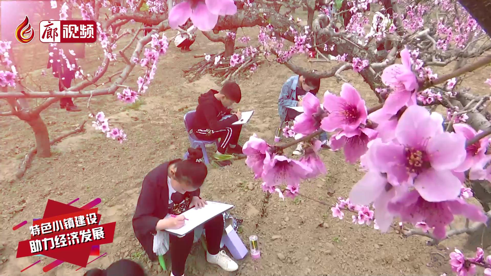 廊視頻 | 特色小鎮(zhèn)建設(shè)助力經(jīng)濟發(fā)展