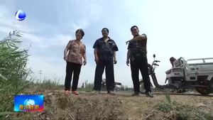 道德模范：秦振啟見義勇為挽救落水群眾