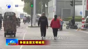 斑馬線前顯文明 爭做文明出行實踐者