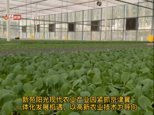 廊視頻 | 全力推進廊坊數(shù)字鄉(xiāng)村建設