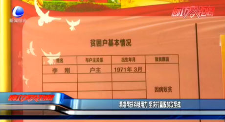 精準幫扶持續(xù)用力 堅決打贏脫貧攻堅戰(zhàn)