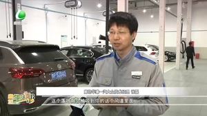 落葉傷車 車輛養(yǎng)護要注意