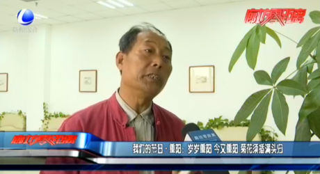 我們的節(jié)日·重陽：歲歲重陽 今又重陽 菊花須插滿頭歸