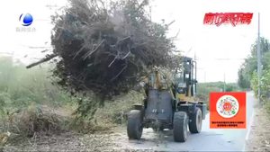 安次區(qū)葛魚城鎮(zhèn)：樹枝焚燒利環(huán)保 美化環(huán)境惠民生