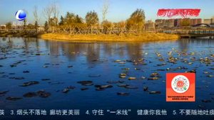 今日立冬——北風(fēng)潛入悄無(wú)聲 未品濃秋已立冬