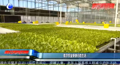 數(shù)字農業(yè)便捷百姓生活