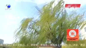 雨后的廊坊 真美！