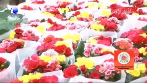 永清縣恒美國(guó)際花都：市場(chǎng)人氣旺 商戶備貨忙