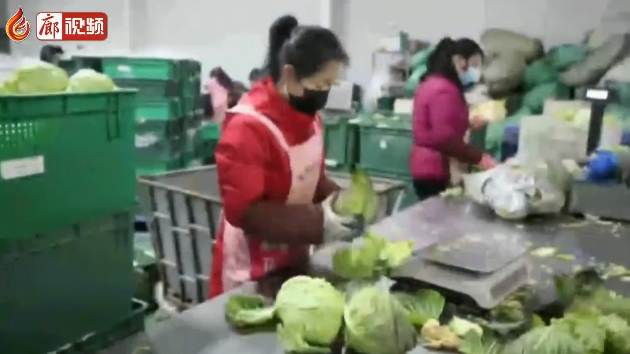 廊視頻 | 河北固安實行封閉管理保障生活必需品供應