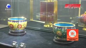 【走進我們的小康生活·幸福來敲門】促進全民就業(yè) 增加居民收入