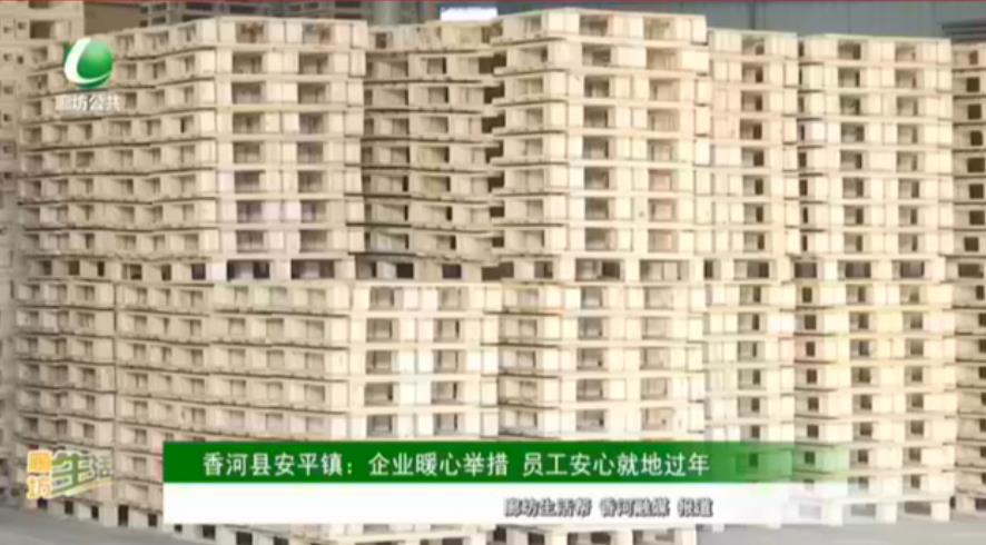 香河縣安平鎮(zhèn)：企業(yè)暖心舉措 員工安心就地過(guò)年