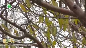 今日驚蟄：雷動(dòng)萬(wàn)物醒 春回大地中