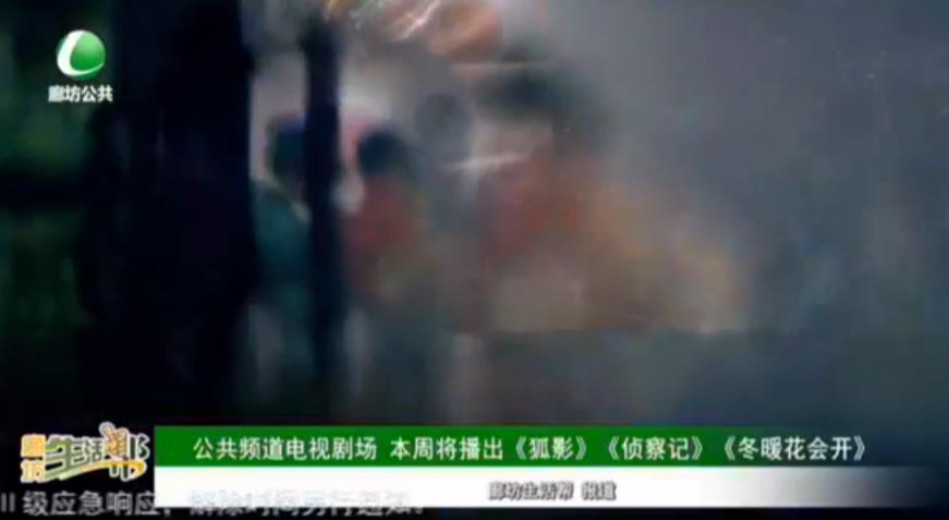公共頻道電視劇場 本周將播出《狐影》《偵察記》《冬暖花會(huì)開》