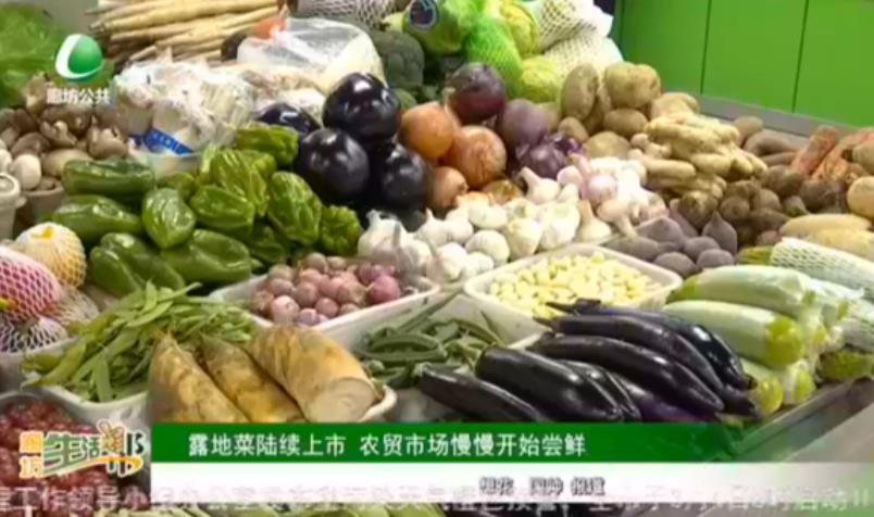 露地菜陸續(xù)上市 農(nóng)貿(mào)市場(chǎng)慢慢開(kāi)始嘗鮮