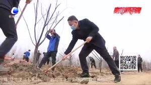 安次區(qū)調(diào)河頭鄉(xiāng)積極開展義務(wù)植樹