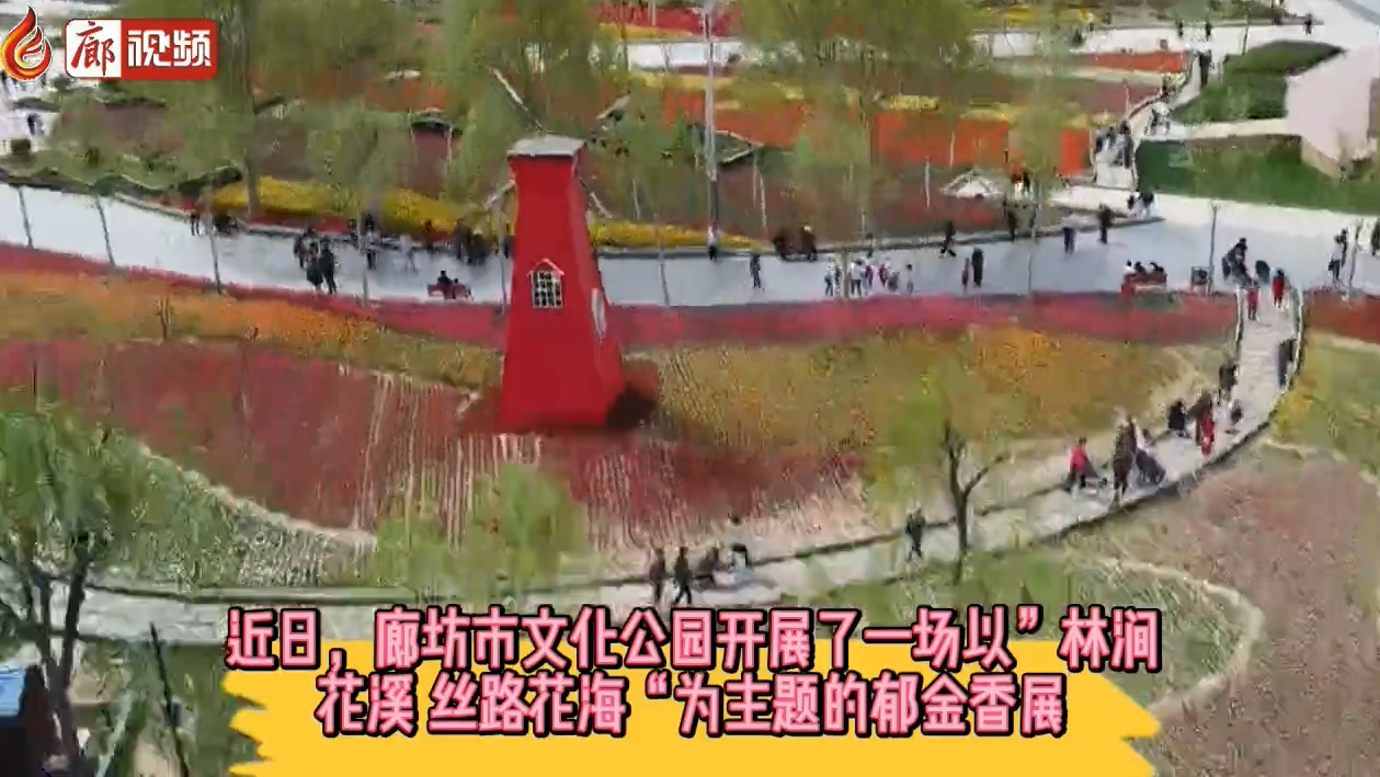 廊視頻 | 廊坊市文化公園與52萬(wàn)株郁金香相約一場(chǎng)春之盛宴