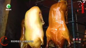 天天美食 20230125