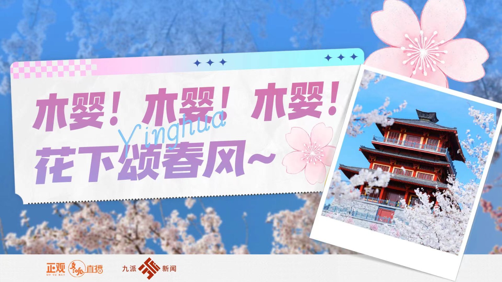 木嬰！木嬰！木嬰！花下頌春風(fēng)~