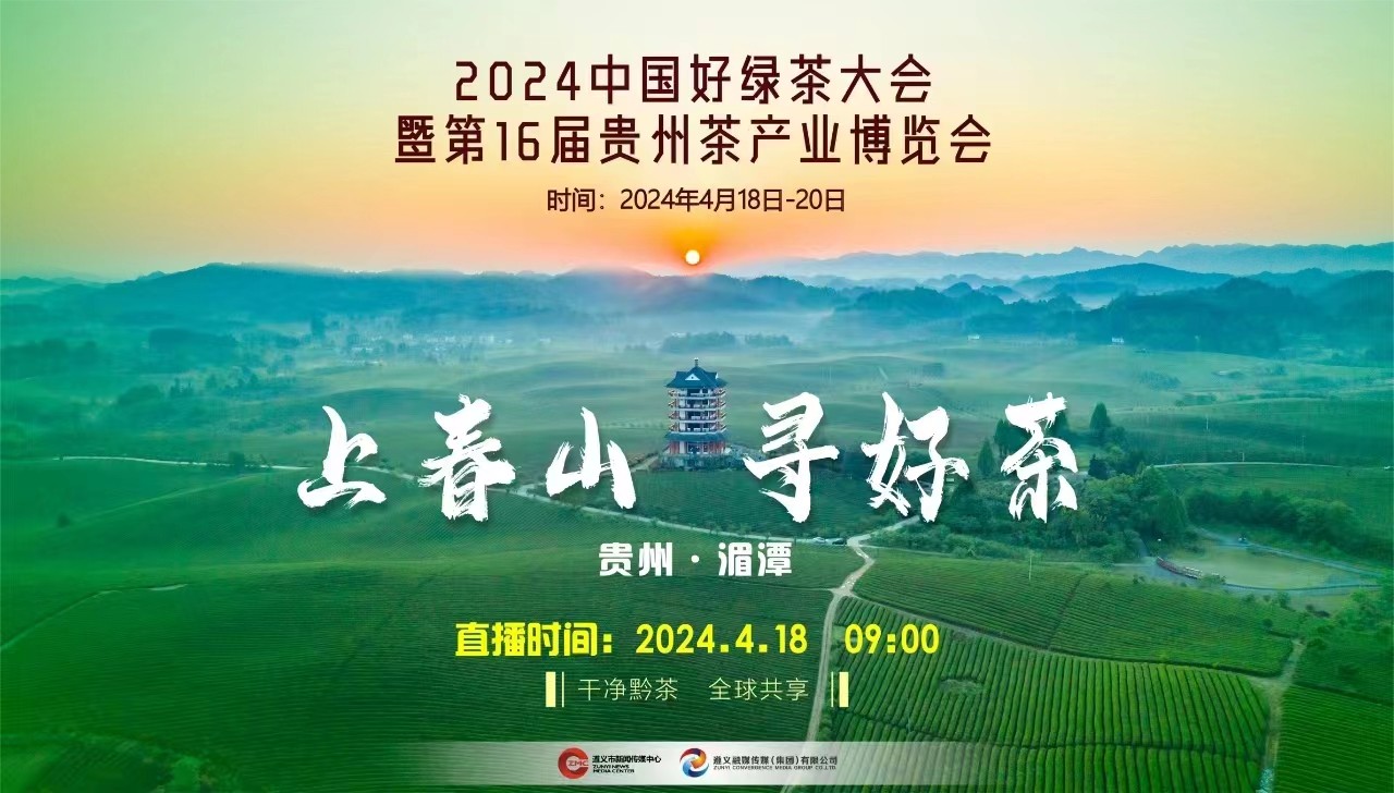 “上春山 采春茶”2024來遵義湄潭，一起采春茶