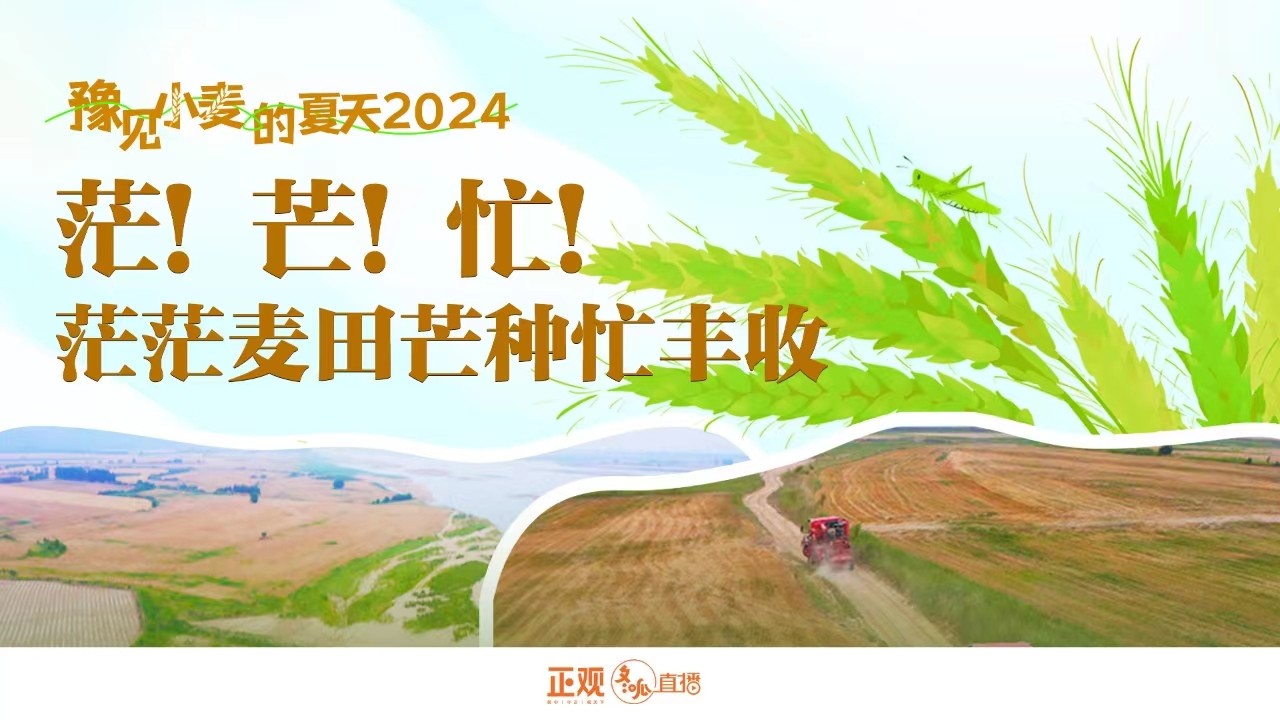 豫見(jiàn)小麥的夏天2024 | 茫！芒！忙！茫茫麥田芒種忙豐收！